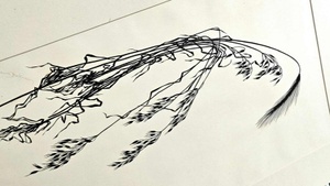 Schere–Stil–Papier. Lettegrafik x Johanna Beckmann