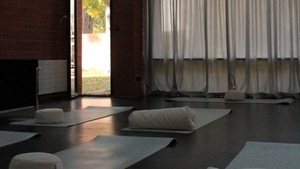 Yin Yoga für Ruhe und Entspannung (open Level)