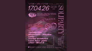 vis-a-vis Kollektiv SoliParty