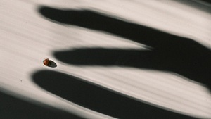 No Person Without A World