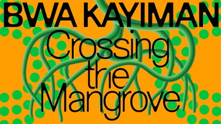 Bwa Kayiman: Crossing the Mangrove