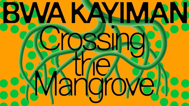 Bwa Kayiman: Crossing the Mangrove