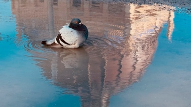 Bei jedem Wetter. Ein Wasserspaziergang entlang der Spreeinsel