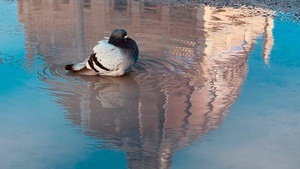 Bei jedem Wetter. Ein Wasserspaziergang entlang der Spreeinsel
