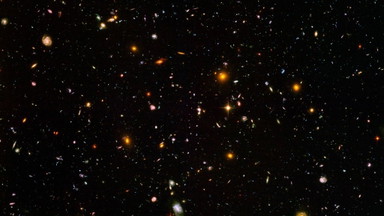 Bilder des Unsichtbaren. Meet the Scientist mit Elisaveta Ernst