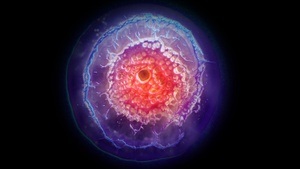 ORIGINS - eine immersive Reise zum Ursprung des Lebens