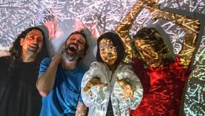 Deerhoof I Support: PΞB