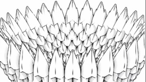 3D - Papier Schale
