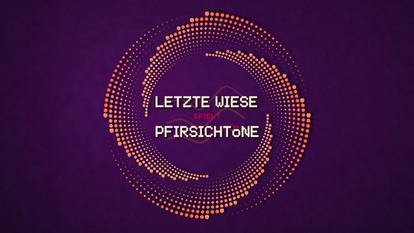 LETZTE WIESE spielt PFIRSICHTÖNE w. Banani, Danielle Arielli, Fabu, kulms, Schlecksi, Spinelli, the misprints, VOXAL