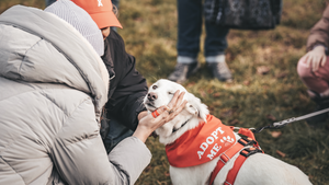 Bark Date - Best Date Ever!