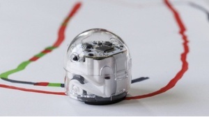 Ozobots im Humboldt Forum. Ferienworkshop für Familien