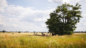 Wurzeln und Horizonte  - Stadtboden unter dem Feld