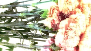 WOCHENMITTE w. Manu Strasse b2b Adron