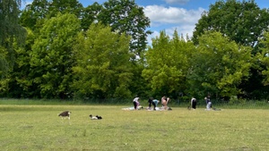 Yoga mit Schafen & Ziegen in Teltow