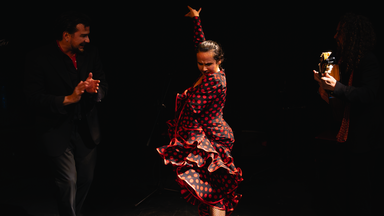 Flamenco Show