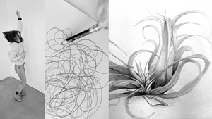 DRAWING CAMP: Learn Drawing in 9 weeks! / Lerne Zeichnen in 9 Wochen!