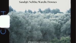 Sandsjö - Nebbia - Warelis - Downes Quartet