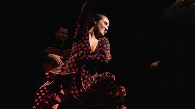Die Welt des Flamenco