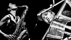 Hayashi/ Nebbia/ Cajado