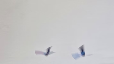 Papier in Bewegung