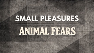 Small Pleasures (post-punk-duo, can) + Animal Fears (indie-punk/noise-pop, bln)