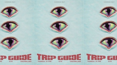 TRIP GUIDE