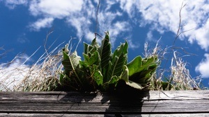 WE KÜYEN w. MONKyMAN (DJ Set), AP Solis, MonoAbe