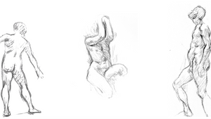 Akt x Anatomie / Life Drawing x Anatomy