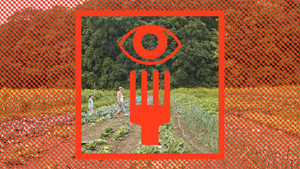 FOOD & FOOTAGE: Ernte Teilen – Solidarische Landwirtschaft (SoLaWi)