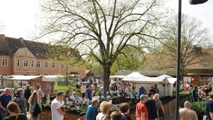 Berliner Staudenmarkt auf der Domäne Dahlem