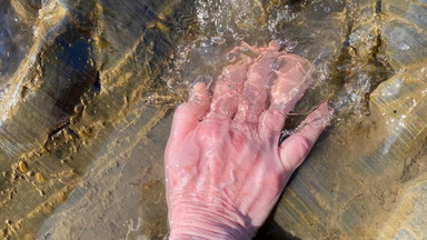 Vibrant Mourning: To Touch and Being Touched by Algae