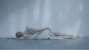 Echoes, Ghosts, Songs & Soils