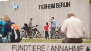 TRÖDELWOCHENENDE im Tierheim Berlin