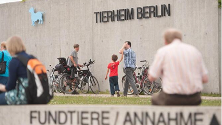 TRÖDELWOCHENENDE im Tierheim Berlin
