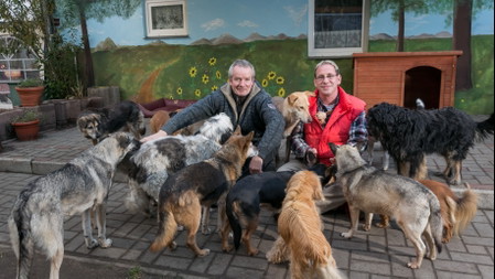 Trödelmarkt zu Gunsten alter, kranker in Not geratener Tiere welche liebevoll umsorgt und bis zum Lebensende betreut werden