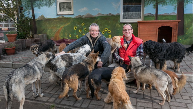 Trödelmarkt zu Gunsten alter, kranker in Not geratener Tiere welche liebevoll umsorgt und bis zum Lebensende betreut werden
