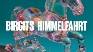 Birgits HIMMELFAHRT