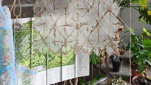 On Our Shared Table | Dinner & Installation