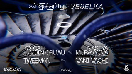 singularity x veselka