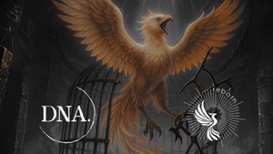 REBORN RAVE: PHOENIX