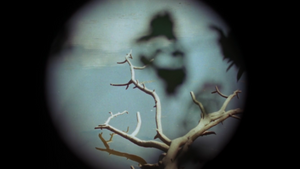 attaque[e]r le visible - körperliche interventionen: ELS VAN RIEL