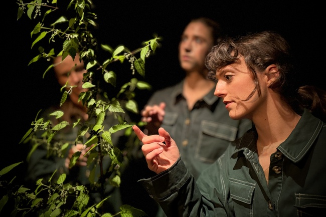Kulturzentrum Pavillon in Hannover Alle Events, Termine & Tickets