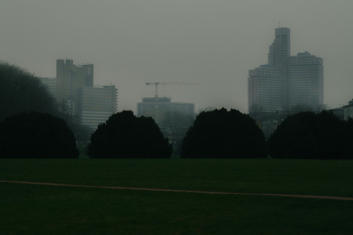 What's happening in Cologne in November 2024? - Rausgegangen